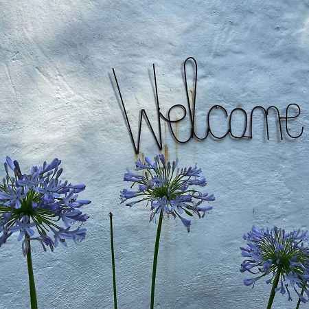 Caladdi Bed And Breakfast Durban Exterior photo