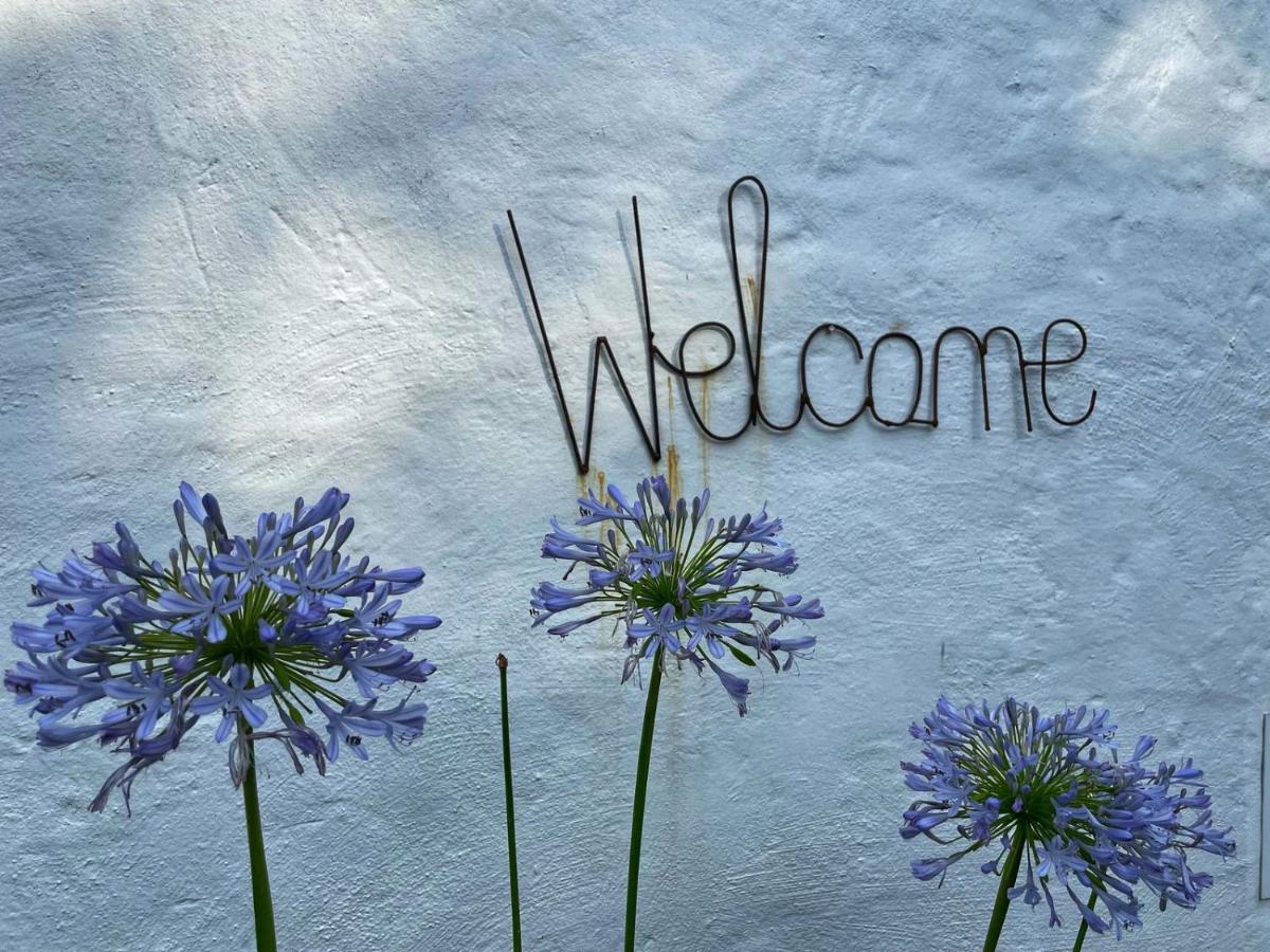 Caladdi Bed And Breakfast Durban Exterior photo