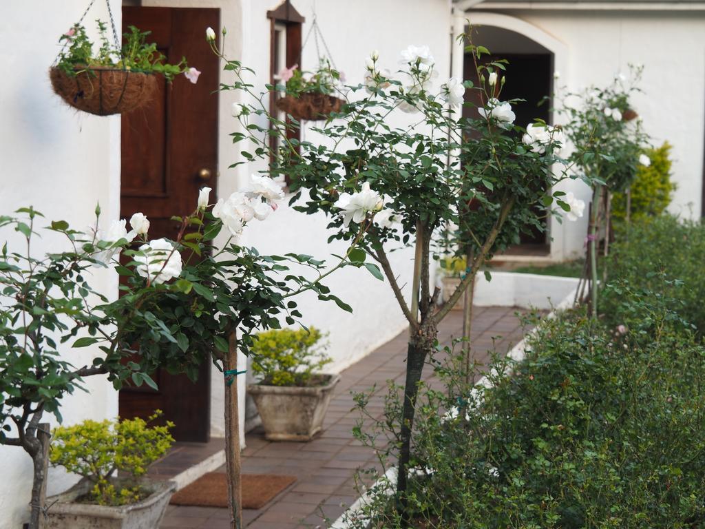 Caladdi Bed And Breakfast Durban Exterior photo