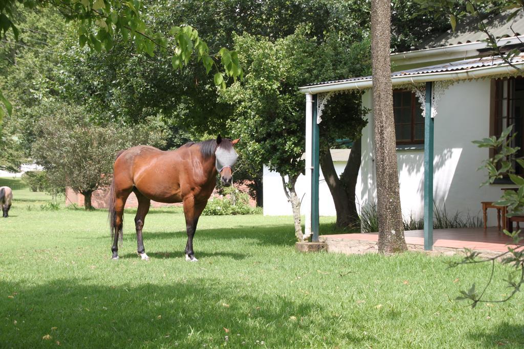 Caladdi Bed And Breakfast Durban Exterior photo